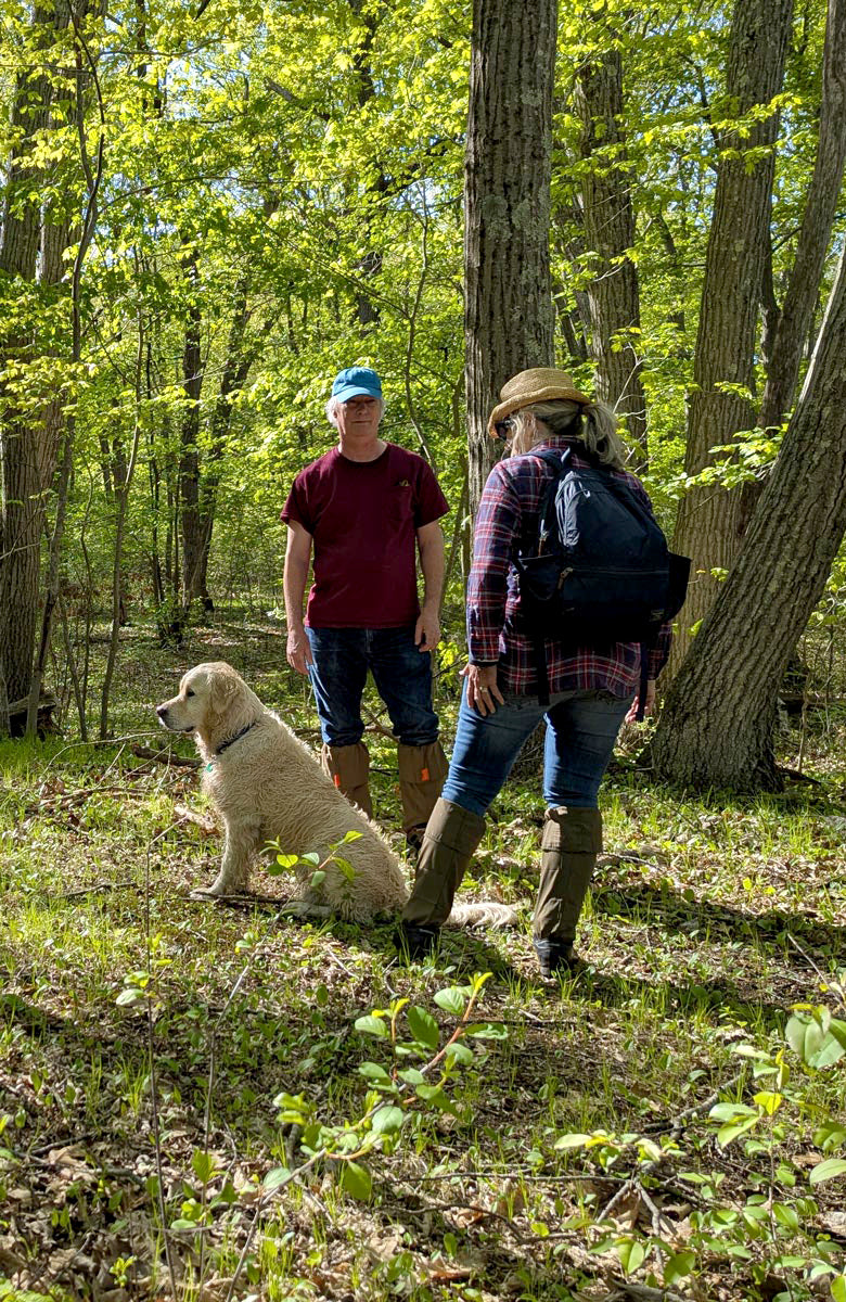 Tick protection gaiters