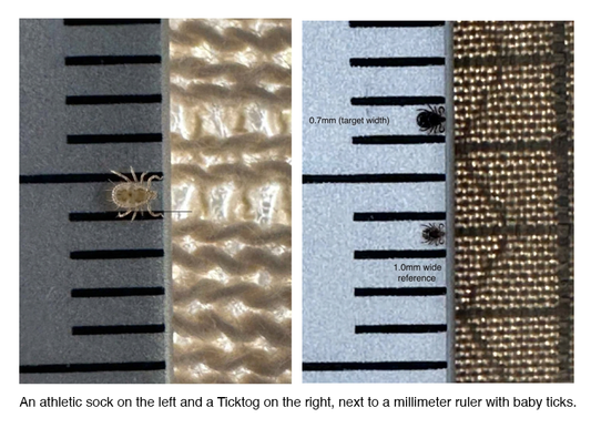 Millimeter ruler with baby ticks next to the fabric weave of Ticktogs versus the loose weave of an athletic sock.