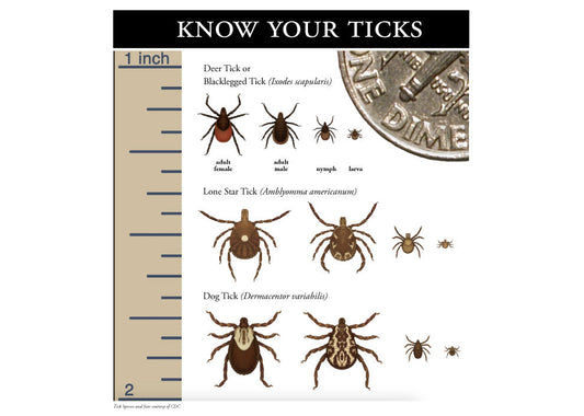 Know your ticks